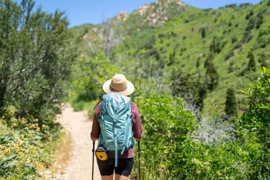 Best women's hiking backpacks 2026 trail carrying gear comparison