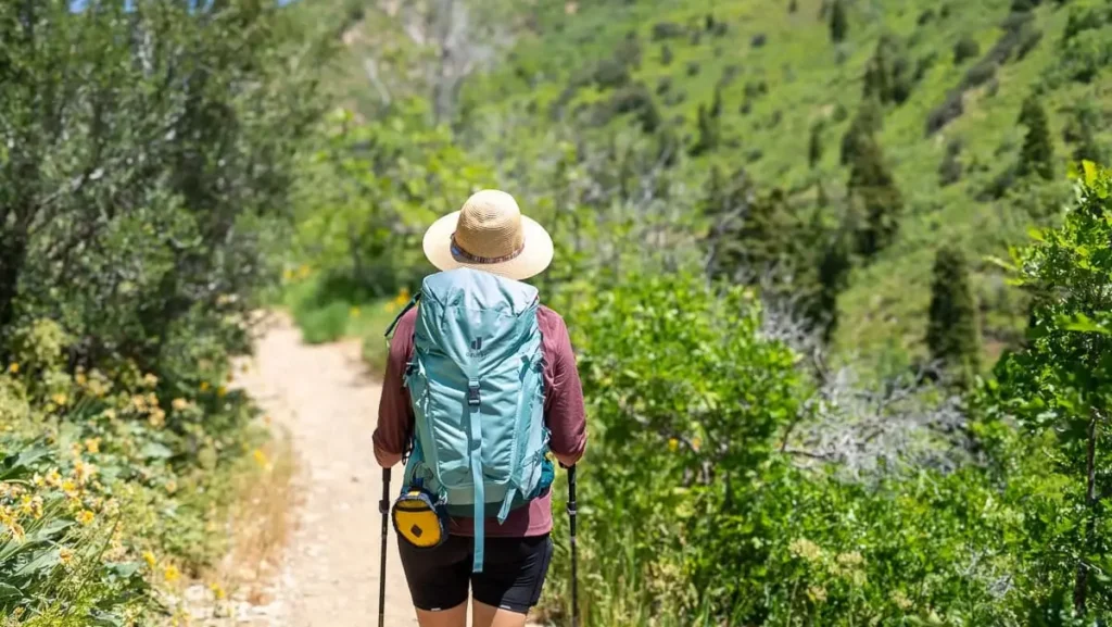 Best women's hiking backpacks 2026 trail carrying gear comparison