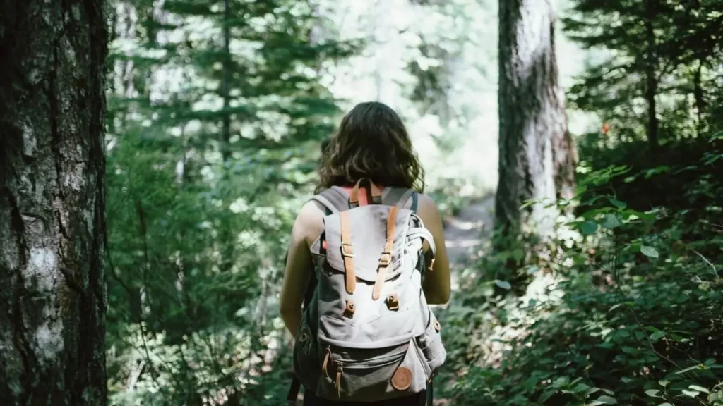 Hiker walking slowly through a sunlit forest, practicing mindful flow hiking