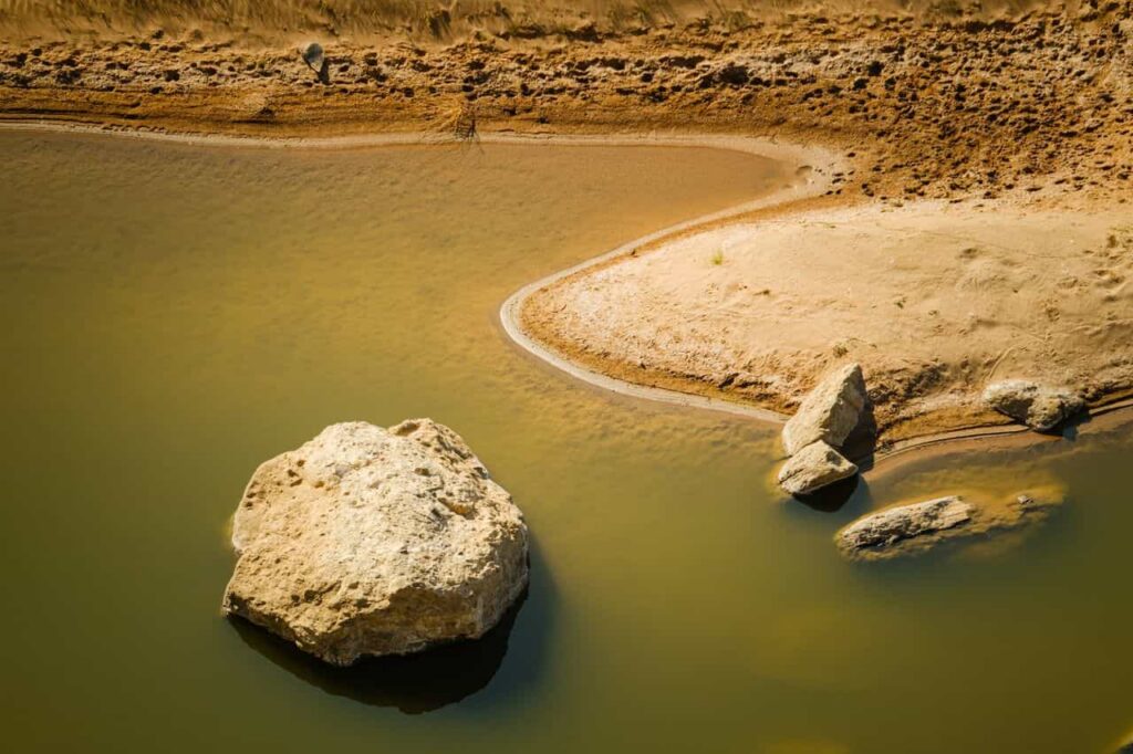 close-up of a clear spring seeping from pale sandstone in a desert canyon, the kind of natural water that shapes a backcountry hydration philosophy, soft natural light