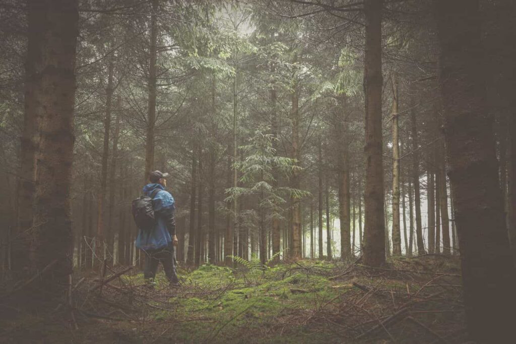 Lone hiker walking through misty forest on an unmarked trail, eyes raised, practicing intuitive trail finding through sensory awareness