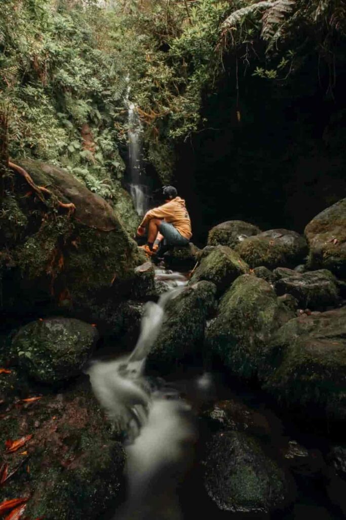 Lone hiker standing still beside a backcountry creek at golden hour, eyes closed, ears open, listening to the earth pipes in silence, practicing nature sounds hiking