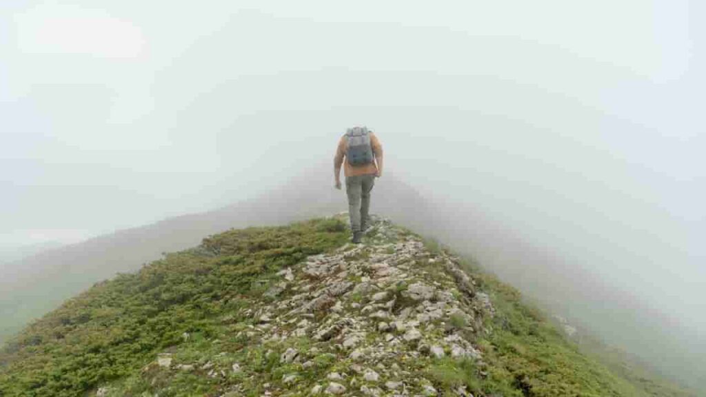 Hiker standing at the edge of a quiet forest trail, gear barely visible against their body, pack sitting flush at the hips, the mindful roaming gear system made invisible by its fit