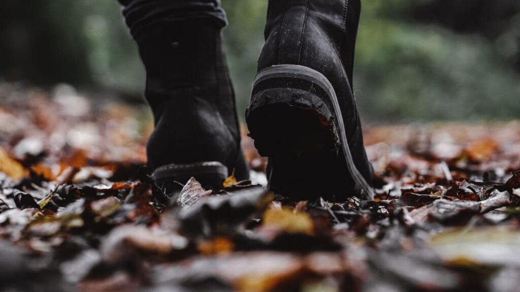 A pair of lightweight leather hiking shoes on a forest trail covered in dry leaves, morning light through the trees, the shoes scuffed and worn and at home on the ground