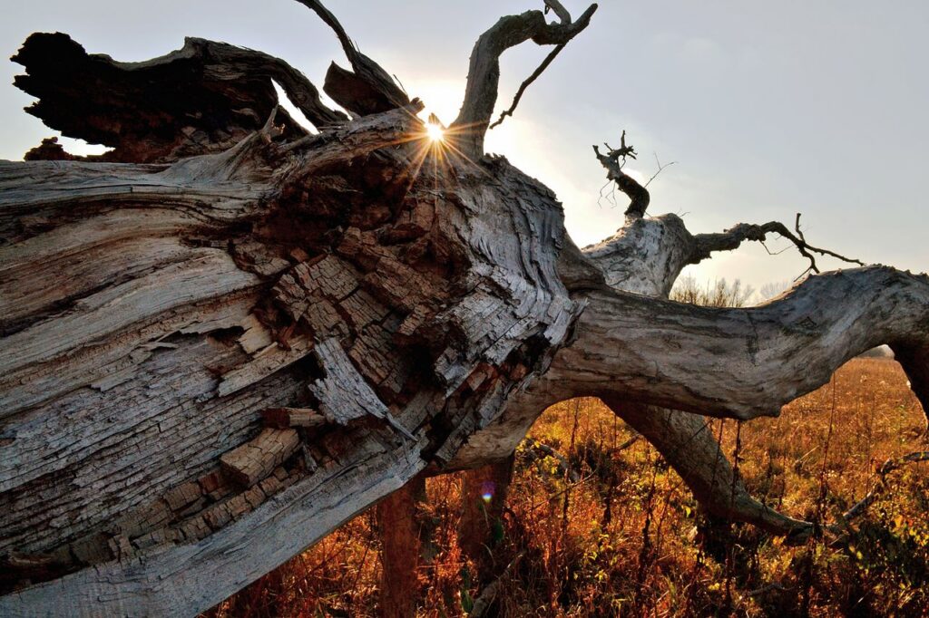 A single rough unpolished wooden block set against a wide mountain sky at dusk, no carving marks, no tools, the Daoist Pu