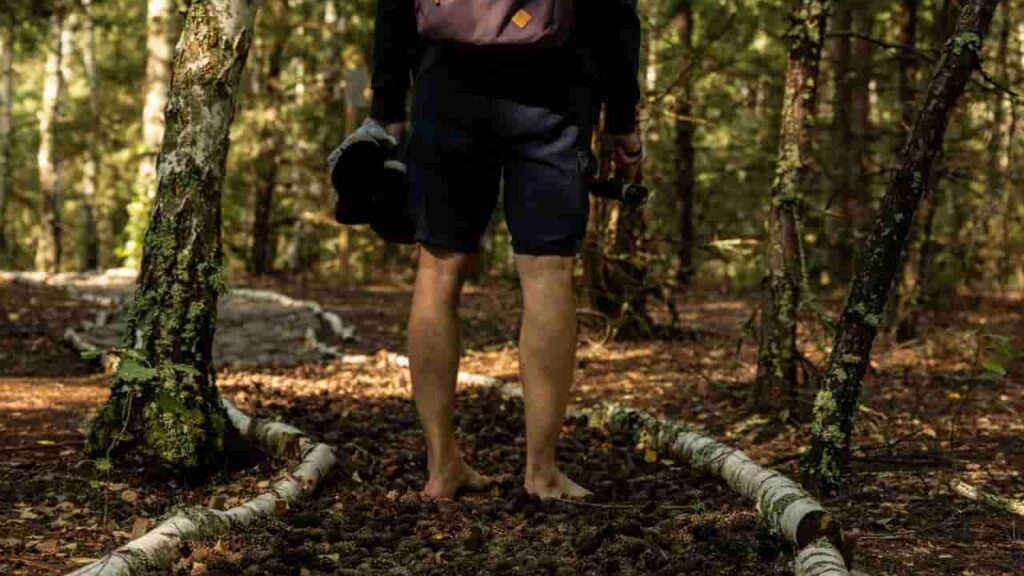 Barefoot grounding practice on moist soil and moss at the end of a hike