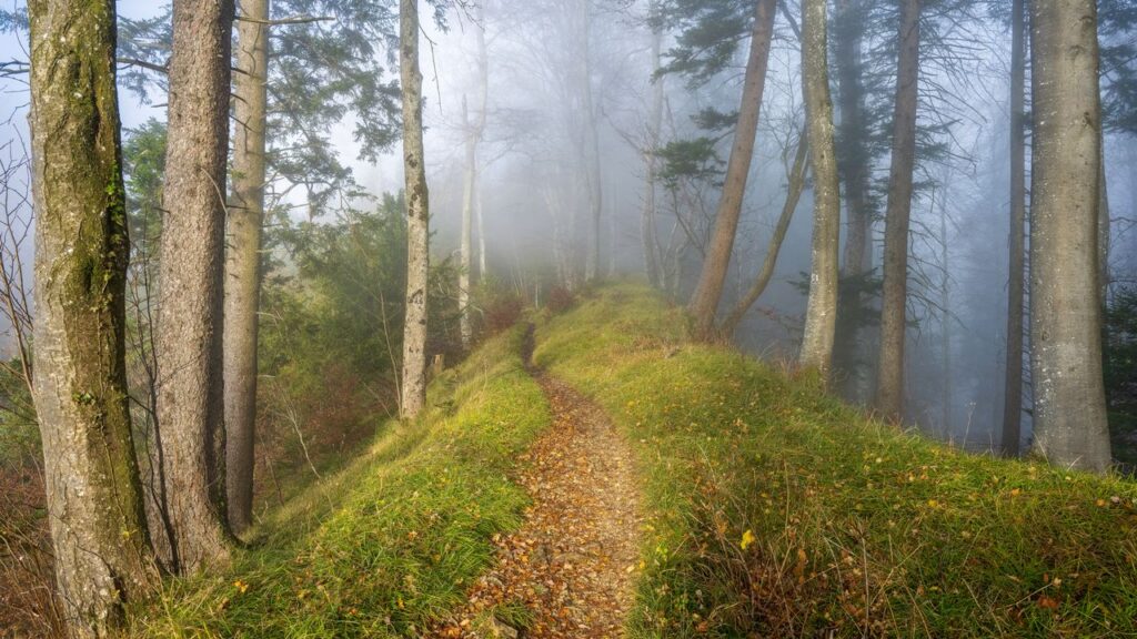 A misty mountain trail vanishing into fog, embodying emptiness in Daoist heart fasting hiking