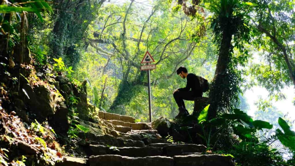A hiker sitting on a trailside rock with eyes closed, hands resting on knees, the forest around them quiet and still, practicing Daoist heart fasting hiking on the trail