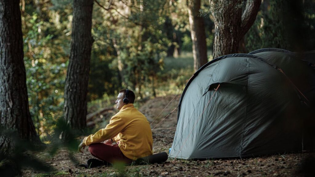 Daoist heart fasting hiking - listening with qi in a quiet fog-covered pine forest