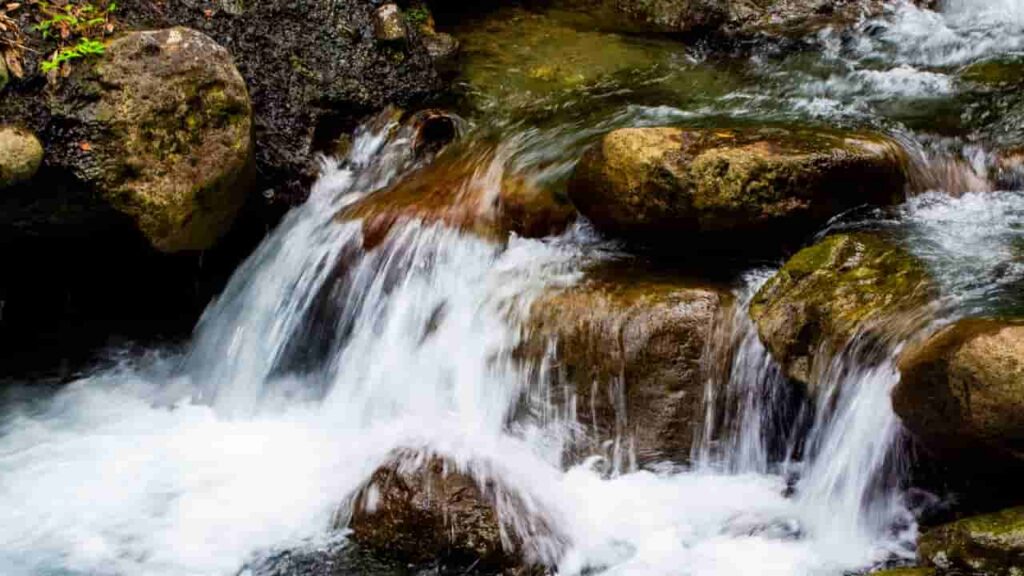 Clear mountain stream flowing over rocks representing Zhuangzi water philosophy on the trail