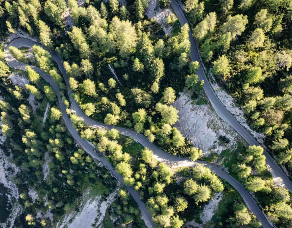 return of the trail - A scenic winding switchback trail cutting through a high-altitude pine forest and rocky mountain slope