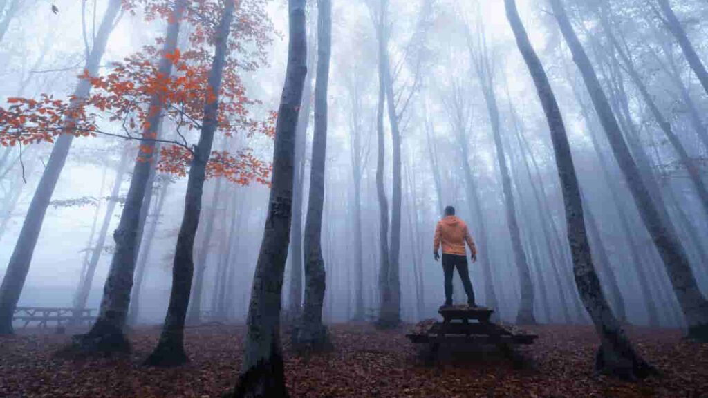 A hiker practicing Daoist sensory immersion by listening to the forest on a quiet trail